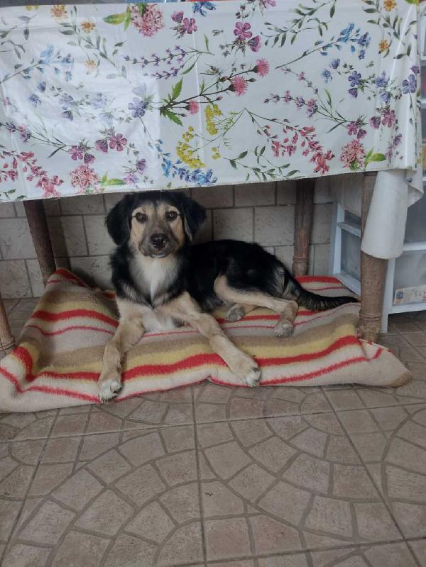 Remì Foto 6
